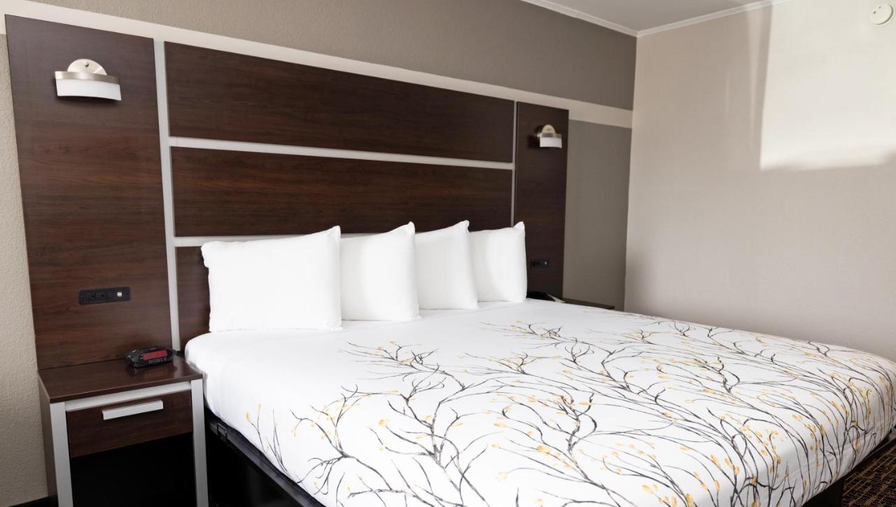 Magnuson Hotel וירג'יניה ביץ' מראה חיצוני תמונה